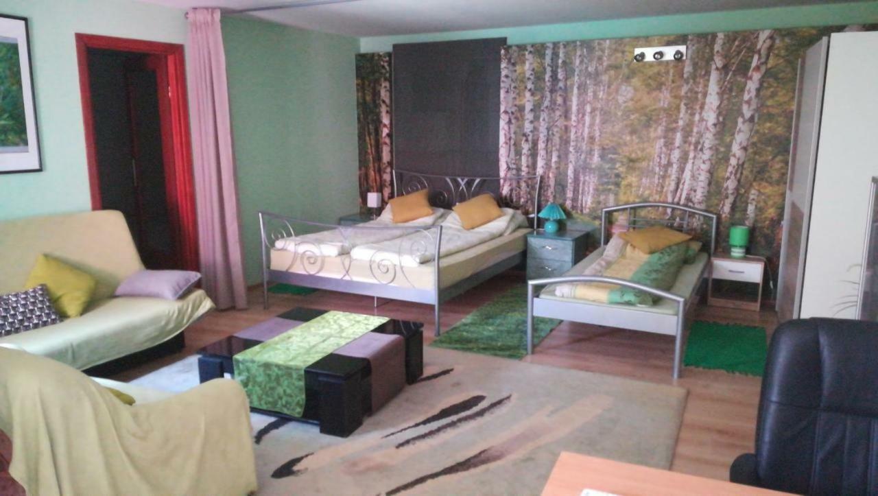 Rooms&Apartment Veral-KA Karlovac Buitenkant foto